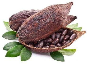Chocolat WEISS ANEO 34% de cacao